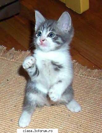 gata, mam chestii k-lumea ...