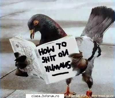 Extremly Funny pictures!!! - Lectura obligatorie...Nedelcu profesoara oare? - Poze cu voi