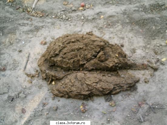Extremly Funny pictures!!! - GHiciti ce fac evaca dupa ce mananca - Poze cu voi