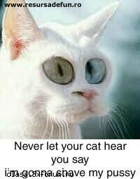 Extremly Funny pictures!!! - Uite un sfat...nu spune ce scrie aici dupa ce iti - Poze cu voi