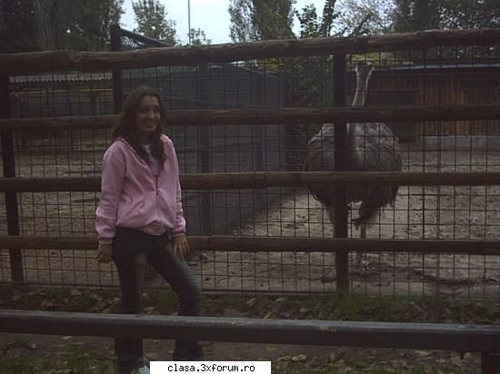 Pictures... - Yo - Poze cu voi