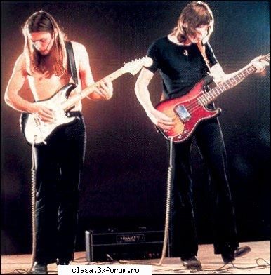 pink rock music (real rock) necesits serious knowlege of human